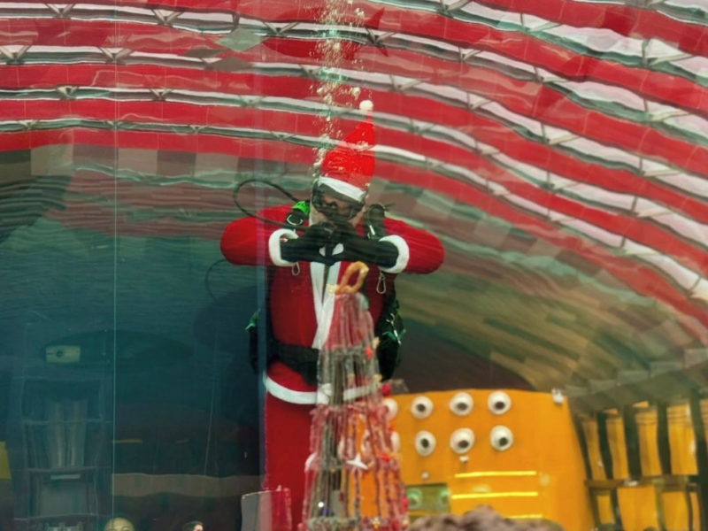 Papai Noel mergulhador surpreende visitantes no Bioparque Pantanal