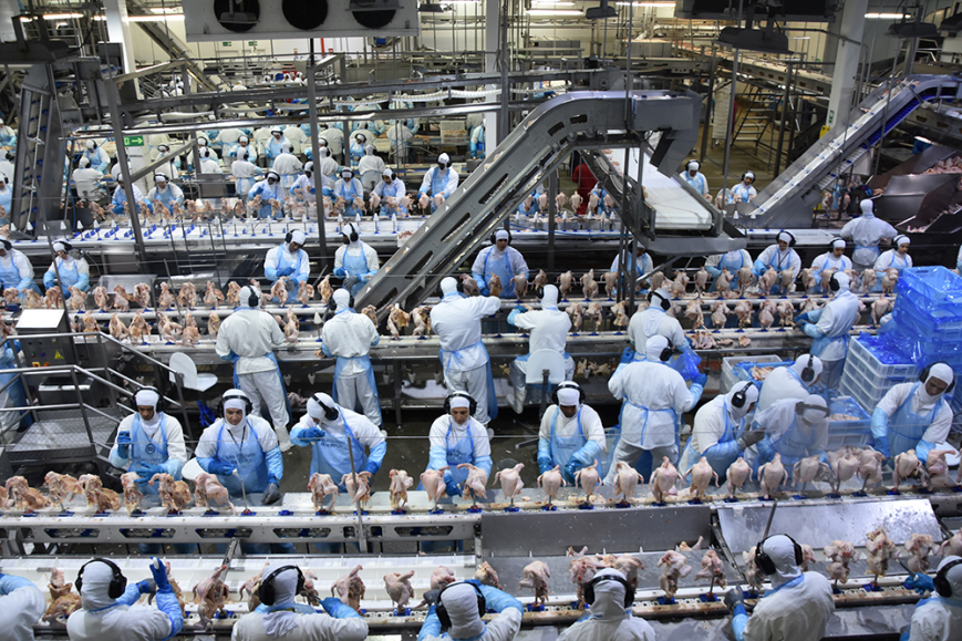 Exportações de industrializados de MS alcançaram em novembro US$ 592,9 milhões