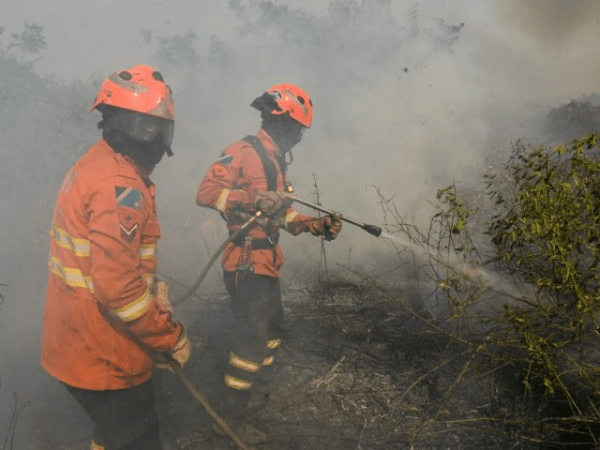 MS reforça planejamento contra o fogo e mobiliza Corpo de Bombeiros no combate a focos no Pantanal